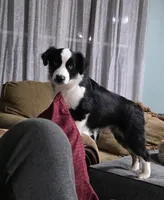 processed/d1be9e9a-dd2e-45c1-83b3-58cad15008c4/listing/4c735b2f-c9b4-4faf-9acf-6971df002fd4/a1f5e94f-4629-46e1-abb4-5161fb5b1aeb