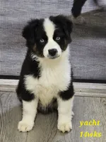 processed/d1be9e9a-dd2e-45c1-83b3-58cad15008c4/listing/4c735b2f-c9b4-4faf-9acf-6971df002fd4/bf17126c-d2ea-441d-8143-730f7605afb4