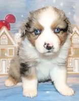 processed/d1be9e9a-dd2e-45c1-83b3-58cad15008c4/listing/5f3f77ce-5787-4395-b696-fc9650359bf7/195a2670-4bf1-423d-ab61-ae3251e63fd9