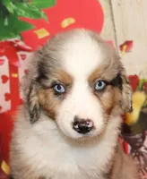 processed/d1be9e9a-dd2e-45c1-83b3-58cad15008c4/listing/5f3f77ce-5787-4395-b696-fc9650359bf7/a7d85052-661c-4765-b403-29adffcf4171