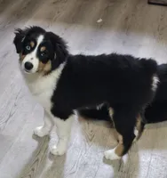 processed/d1be9e9a-dd2e-45c1-83b3-58cad15008c4/listing/aaad6f10-4fdc-48de-8684-cc9c44d91cc5/2c45d22b-fccc-40f3-954d-9e7642236235