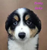 processed/d1be9e9a-dd2e-45c1-83b3-58cad15008c4/listing/aaad6f10-4fdc-48de-8684-cc9c44d91cc5/32f4620e-91f7-488b-b441-557dcde73250