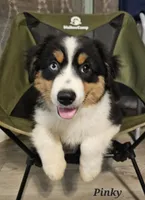 processed/d1be9e9a-dd2e-45c1-83b3-58cad15008c4/listing/aaad6f10-4fdc-48de-8684-cc9c44d91cc5/53ae2073-0de7-466b-a0a0-31d95dec796e