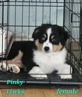 processed/d1be9e9a-dd2e-45c1-83b3-58cad15008c4/listing/aaad6f10-4fdc-48de-8684-cc9c44d91cc5/88ab7d1f-5f10-436b-8818-70fc26b8d005