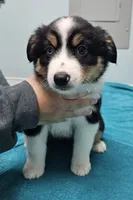 processed/d1be9e9a-dd2e-45c1-83b3-58cad15008c4/listing/aaad6f10-4fdc-48de-8684-cc9c44d91cc5/9a74694a-d306-44df-9b66-5699c98d735c