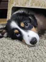 processed/d1be9e9a-dd2e-45c1-83b3-58cad15008c4/listing/aaad6f10-4fdc-48de-8684-cc9c44d91cc5/de85c1b5-4dad-466a-9ee2-dd29aaf4c6cf