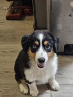 processed/d1be9e9a-dd2e-45c1-83b3-58cad15008c4/listing/aaad6f10-4fdc-48de-8684-cc9c44d91cc5/eea5e513-e1ea-4312-9157-e2fed6494f29