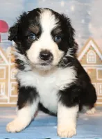 processed/d1be9e9a-dd2e-45c1-83b3-58cad15008c4/listing/ab259895-66f9-4b02-8a16-863432bc86b9/1bd26837-3479-4f1c-a40c-d182fc053db6