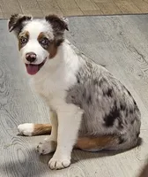 processed/d1be9e9a-dd2e-45c1-83b3-58cad15008c4/listing/b460210e-9b9b-4bd2-a0c7-376ec0127257/4a369e04-898a-40ad-99d1-c8986efdc965