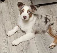 processed/d1be9e9a-dd2e-45c1-83b3-58cad15008c4/listing/b460210e-9b9b-4bd2-a0c7-376ec0127257/6b865272-dd75-4ee5-9806-2d6d70c50353