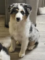 processed/d1be9e9a-dd2e-45c1-83b3-58cad15008c4/listing/db11a17b-9144-47ce-8c00-554bf5a0e287/1e903528-b385-4f8b-a7fe-5f8301b37dbe