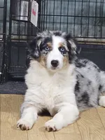 processed/d1be9e9a-dd2e-45c1-83b3-58cad15008c4/listing/db11a17b-9144-47ce-8c00-554bf5a0e287/301bf064-a259-4908-ace4-b36c3d9d55f6