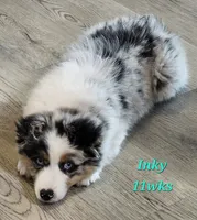 processed/d1be9e9a-dd2e-45c1-83b3-58cad15008c4/listing/db11a17b-9144-47ce-8c00-554bf5a0e287/6e7148b4-2bf5-47e8-a726-5dc2de59b7f9