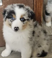 processed/d1be9e9a-dd2e-45c1-83b3-58cad15008c4/listing/db11a17b-9144-47ce-8c00-554bf5a0e287/8d10b7d6-9289-4a7d-a50c-f7134581feac