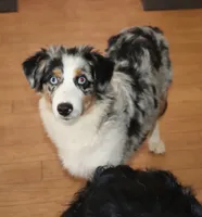 processed/d1be9e9a-dd2e-45c1-83b3-58cad15008c4/listing/db11a17b-9144-47ce-8c00-554bf5a0e287/f4ddc932-b883-4352-94b3-879d4cd98c74