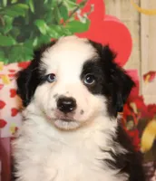 processed/d1be9e9a-dd2e-45c1-83b3-58cad15008c4/listing/e68920ee-ded1-43f2-bc87-fa0cb5035758/f397350f-8f1d-4c96-bf8b-64528197e410