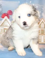 processed/d1be9e9a-dd2e-45c1-83b3-58cad15008c4/listing/f19a6368-fef5-4563-a0de-5ee32689208e/62beea39-1916-4fec-9073-394c5a493e4e