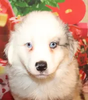 processed/d1be9e9a-dd2e-45c1-83b3-58cad15008c4/listing/f19a6368-fef5-4563-a0de-5ee32689208e/d012bf8d-c90e-49de-ad66-453f7075003e