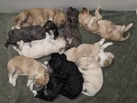 processed/d1c46e57-5bdc-416d-b283-dd90789b60c0/listing/0ba8b223-27fe-4e78-9242-d2cf33c80f87/2b34e987-f36d-468f-93cb-fbbfdb6f9b3e