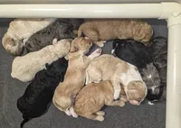 processed/d1c46e57-5bdc-416d-b283-dd90789b60c0/listing/0ba8b223-27fe-4e78-9242-d2cf33c80f87/3568bc3d-9cee-4f33-88f2-bfdbf3f0062d