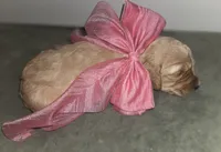 processed/d1c46e57-5bdc-416d-b283-dd90789b60c0/listing/0ba8b223-27fe-4e78-9242-d2cf33c80f87/3760cfa8-2e4d-4948-9638-3158e6fa647c