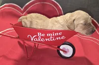 processed/d1c46e57-5bdc-416d-b283-dd90789b60c0/listing/0ba8b223-27fe-4e78-9242-d2cf33c80f87/e3a55b19-2556-4206-adf5-384a536de304