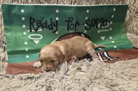 processed/d1c46e57-5bdc-416d-b283-dd90789b60c0/listing/0ba8b223-27fe-4e78-9242-d2cf33c80f87/f6f94f44-19b9-4381-93f7-d51b4fb7d5e0