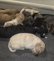 processed/d1c46e57-5bdc-416d-b283-dd90789b60c0/listing/f9600ff6-6f31-4071-9c6c-4293ea4f49b3/52c0ca00-ac9f-405d-9734-fe024155b7c7