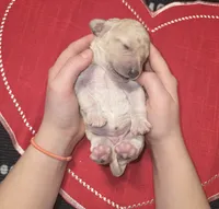 processed/d1c46e57-5bdc-416d-b283-dd90789b60c0/listing/f9600ff6-6f31-4071-9c6c-4293ea4f49b3/b63ac36f-9d34-4278-8eed-d9393f622377