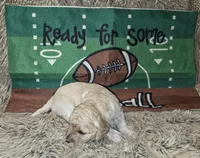 processed/d1c46e57-5bdc-416d-b283-dd90789b60c0/listing/f9600ff6-6f31-4071-9c6c-4293ea4f49b3/eb4feafb-c516-4c6b-8b55-bc4d770c9f09