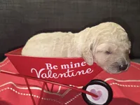 processed/d1c46e57-5bdc-416d-b283-dd90789b60c0/listing/f9600ff6-6f31-4071-9c6c-4293ea4f49b3/f5b1ba46-09a4-40de-b4e9-f22d586274e9