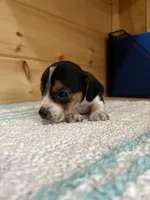 processed/d1e027a3-5375-4f1c-9c33-6b4492618f94/listing/096ca0fc-dacb-4bf5-87ba-bf9200d73dd6/d0da1c01-402a-4e04-ab40-114030139dcf