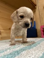 processed/d1e027a3-5375-4f1c-9c33-6b4492618f94/listing/3c9f79bf-9cb0-4120-9834-9e3c3975bf25/3b2b56fd-bd8e-49fe-bde8-7a56327a0ef4