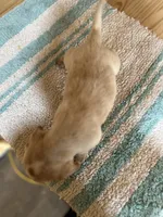 processed/d1e027a3-5375-4f1c-9c33-6b4492618f94/listing/3c9f79bf-9cb0-4120-9834-9e3c3975bf25/79b31b18-1152-4ca8-9104-fa4e082f8fb0