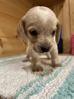 processed/d1e027a3-5375-4f1c-9c33-6b4492618f94/listing/3c9f79bf-9cb0-4120-9834-9e3c3975bf25/e74838e9-cdef-462c-b802-6d9c2dce5d2f