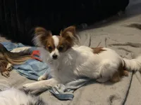 processed/d1e5bc43-d5ed-4ced-bcdf-71d1803da56b/listing/47c670e0-fec4-4158-b380-06796a94f8cc/6bd88bdb-106a-4daa-8632-a54271576390