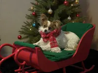 processed/d1e5bc43-d5ed-4ced-bcdf-71d1803da56b/listing/47c670e0-fec4-4158-b380-06796a94f8cc/de5b27d2-5308-4766-a3de-87020818b0d5