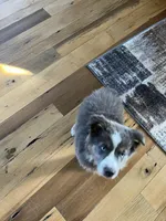 processed/d1e84a91-2b67-4440-b54d-21ed270c43cc/facility/39f13e26-ee80-4269-9dd1-71d59ea23029