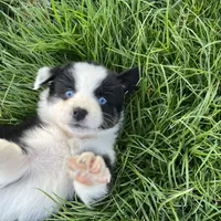 processed/d1e84a91-2b67-4440-b54d-21ed270c43cc/facility/3f988acf-6561-4bc2-af64-8f41dc898a84