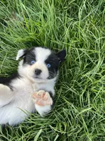 processed/d1e84a91-2b67-4440-b54d-21ed270c43cc/facility/3f988acf-6561-4bc2-af64-8f41dc898a84