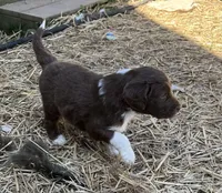 processed/d1e84a91-2b67-4440-b54d-21ed270c43cc/facility/568256ca-8d93-47d3-9ba6-365fb0d60606