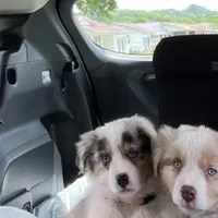 processed/d1e84a91-2b67-4440-b54d-21ed270c43cc/facility/57840a7a-7787-4c27-a356-c2710550c49a