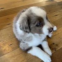 processed/d1e84a91-2b67-4440-b54d-21ed270c43cc/facility/7f45b252-d031-42c1-b59f-d37f62a5b251