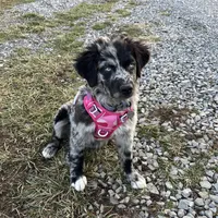 processed/d1e84a91-2b67-4440-b54d-21ed270c43cc/facility/b4dde583-1ee8-4ebe-96e4-e655e9334927