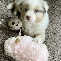 processed/d1e84a91-2b67-4440-b54d-21ed270c43cc/facility/d7591342-2d0f-4427-bec5-0fd5bb59c5dd