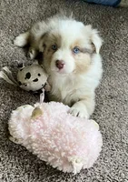 processed/d1e84a91-2b67-4440-b54d-21ed270c43cc/facility/d7591342-2d0f-4427-bec5-0fd5bb59c5dd