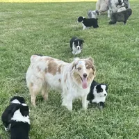 processed/d1e84a91-2b67-4440-b54d-21ed270c43cc/facility/d93537dc-648d-4418-a7b6-c31caa647a64