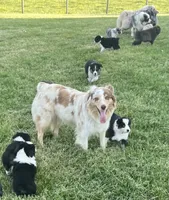 processed/d1e84a91-2b67-4440-b54d-21ed270c43cc/facility/d93537dc-648d-4418-a7b6-c31caa647a64