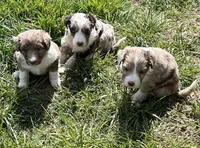 processed/d1e84a91-2b67-4440-b54d-21ed270c43cc/facility/e4f1f0a0-6413-4d50-8de9-5c37b4a67f67