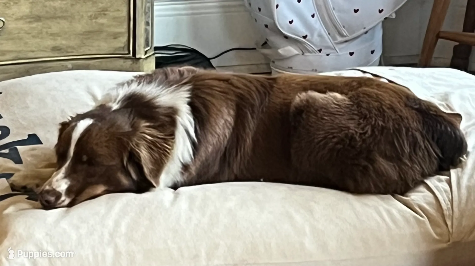 processed/d1e84a91-2b67-4440-b54d-21ed270c43cc/listing/cade34a5-b569-4fdd-ae4e-ca5390951ba9/d51e6151-c19a-4efd-bcdd-e46a3a871a00